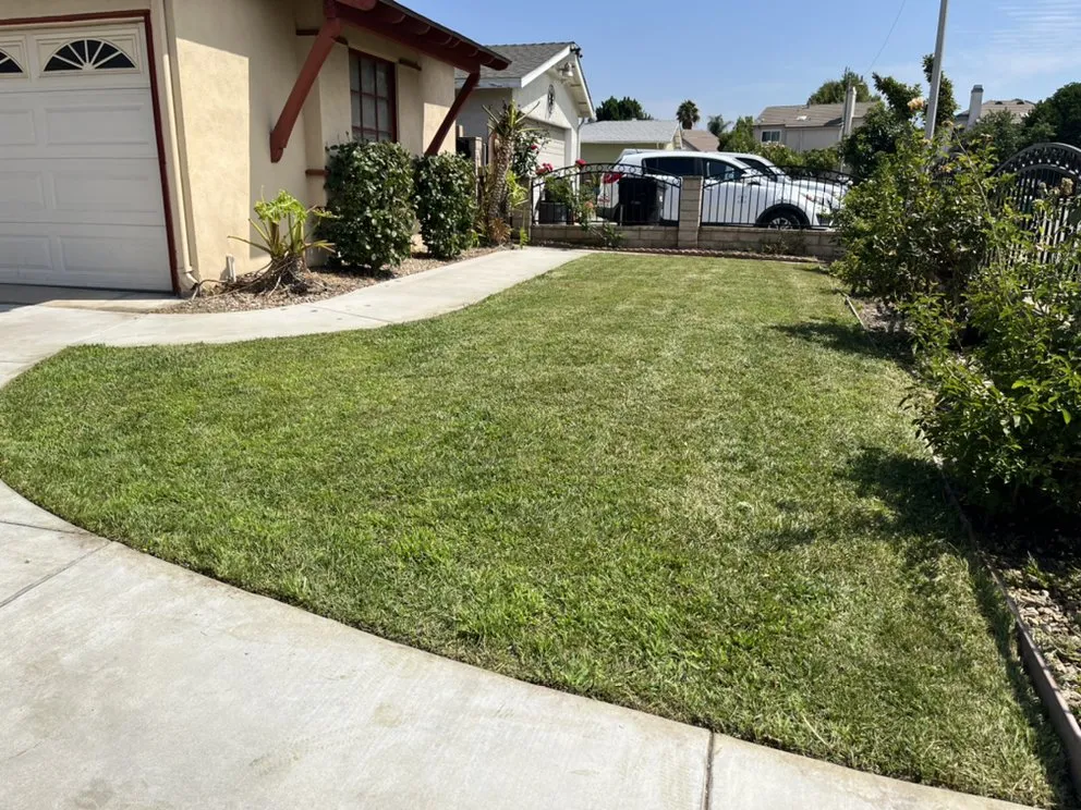 Trusted yard maintenance experts serving Pico Rivera, CA - JC’s Maintenance