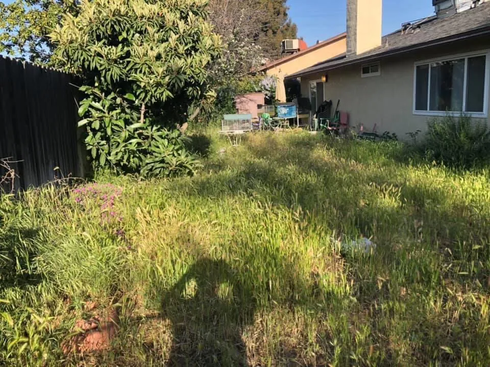 Custom landscape design in Pico Rivera, CA - JC’s Maintenance