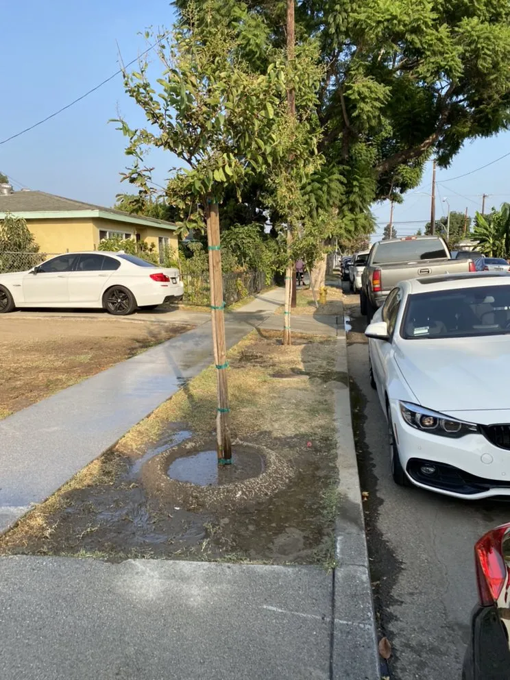 Custom landscaping services for outdoor upgrades across Pico Rivera, CA - JC’s Maintenance