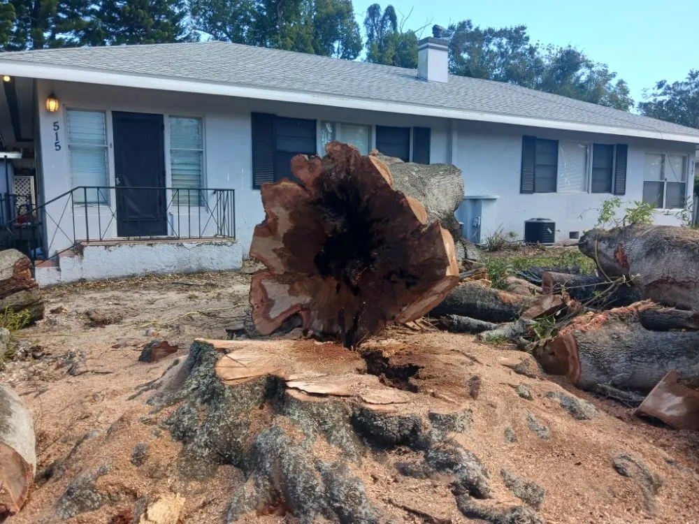 Reliable garden landscaping for outdoor upgrades across Dundee, FL - Jc's Mobile Carwash & Lawncare