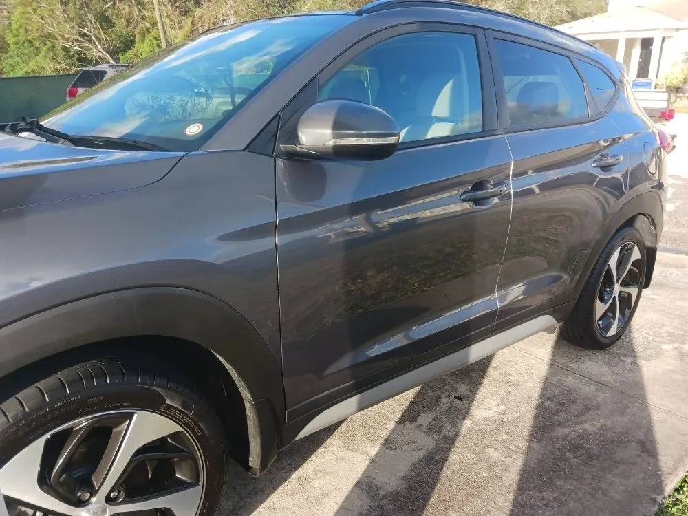 Top-rated yard cleanup service in Dundee, FL by Jc's Mobile Carwash & Lawncare