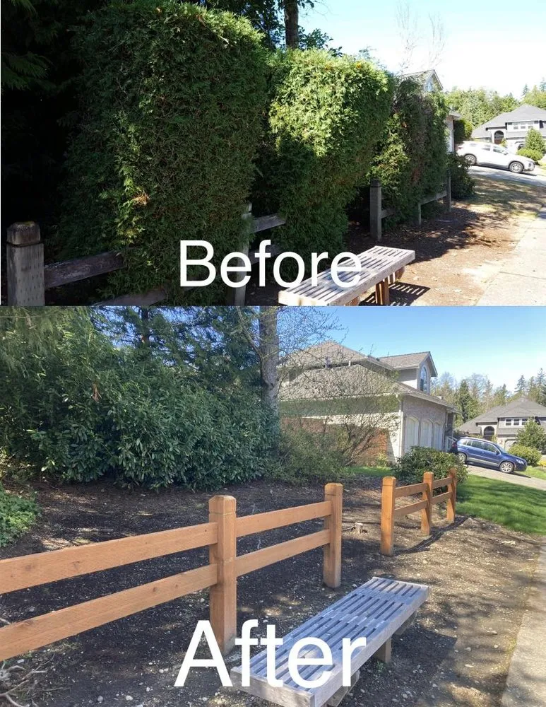 Expert lawn mowing service in Mukilteo, WA by JC’s Signature Landscaping