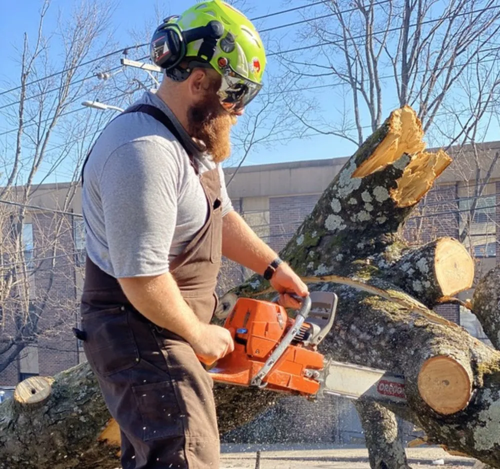 Affordable yard maintenance in Knoxville, TN by JC's Tree & Landscape Service