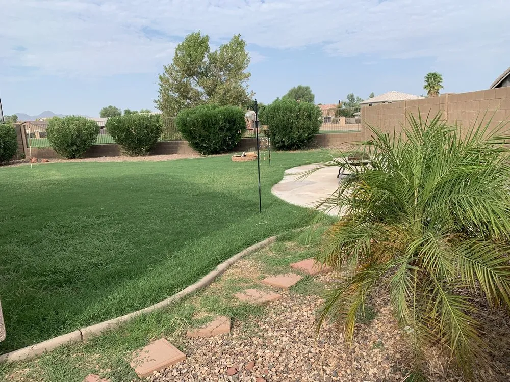 Affordable landscape design for homes in Gilbert, AZ by JC’s Tree Removal & Stump Grinding