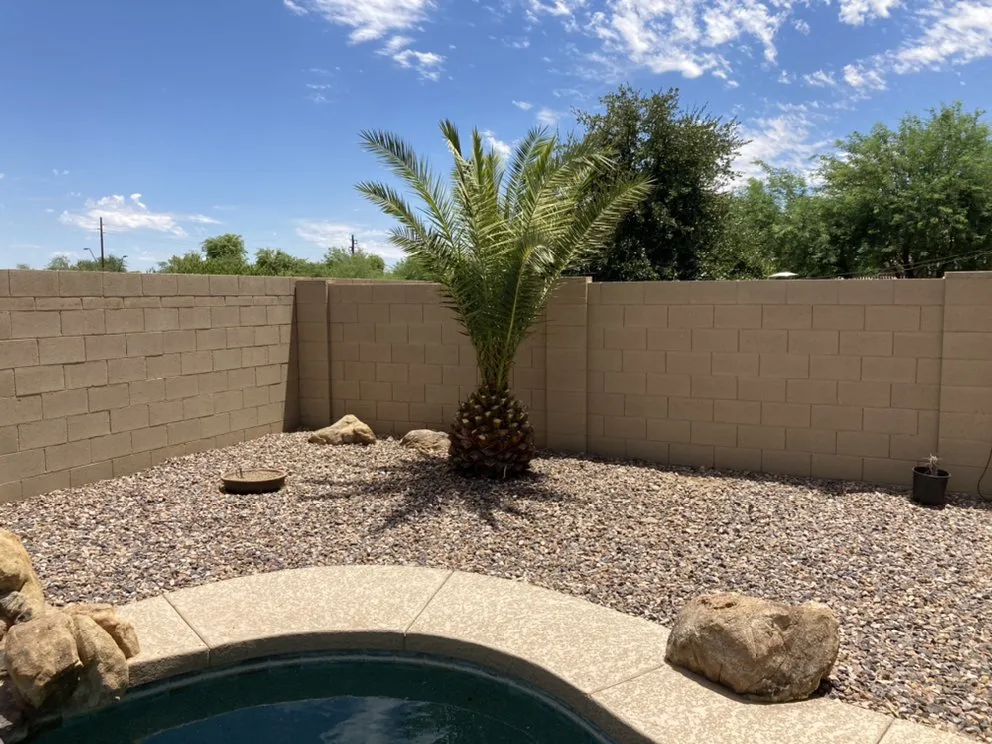 Local outdoor landscaping for homes in Gilbert, AZ by JC’s Tree Removal & Stump Grinding