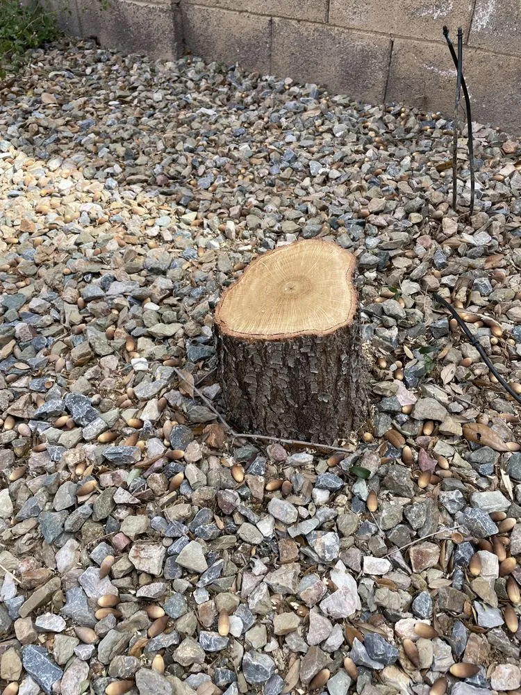 Local garden landscaping in Gilbert, AZ - JC’s Tree Removal & Stump Grinding