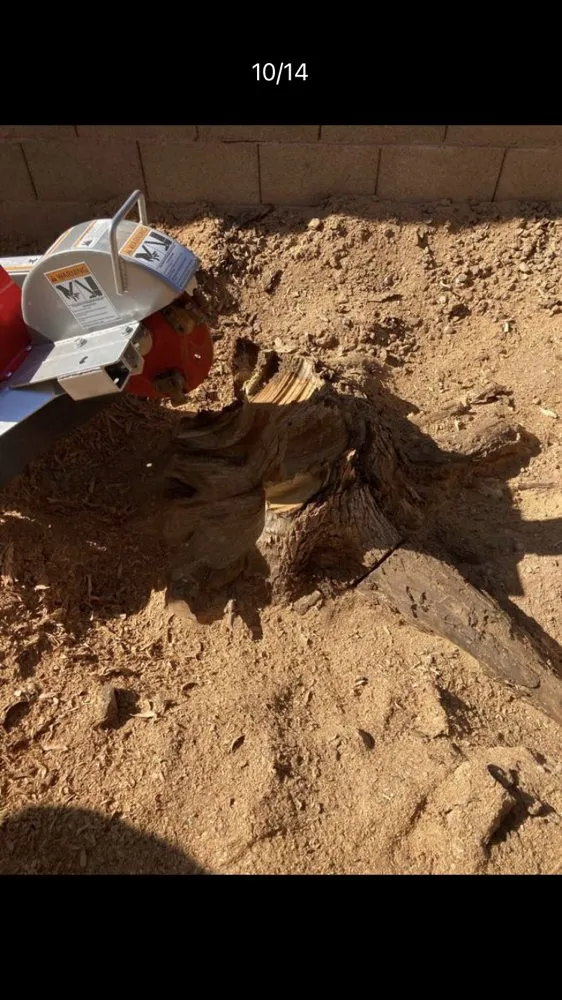 Custom lawn mowing service experts serving Gilbert, AZ - JC’s Tree Removal & Stump Grinding