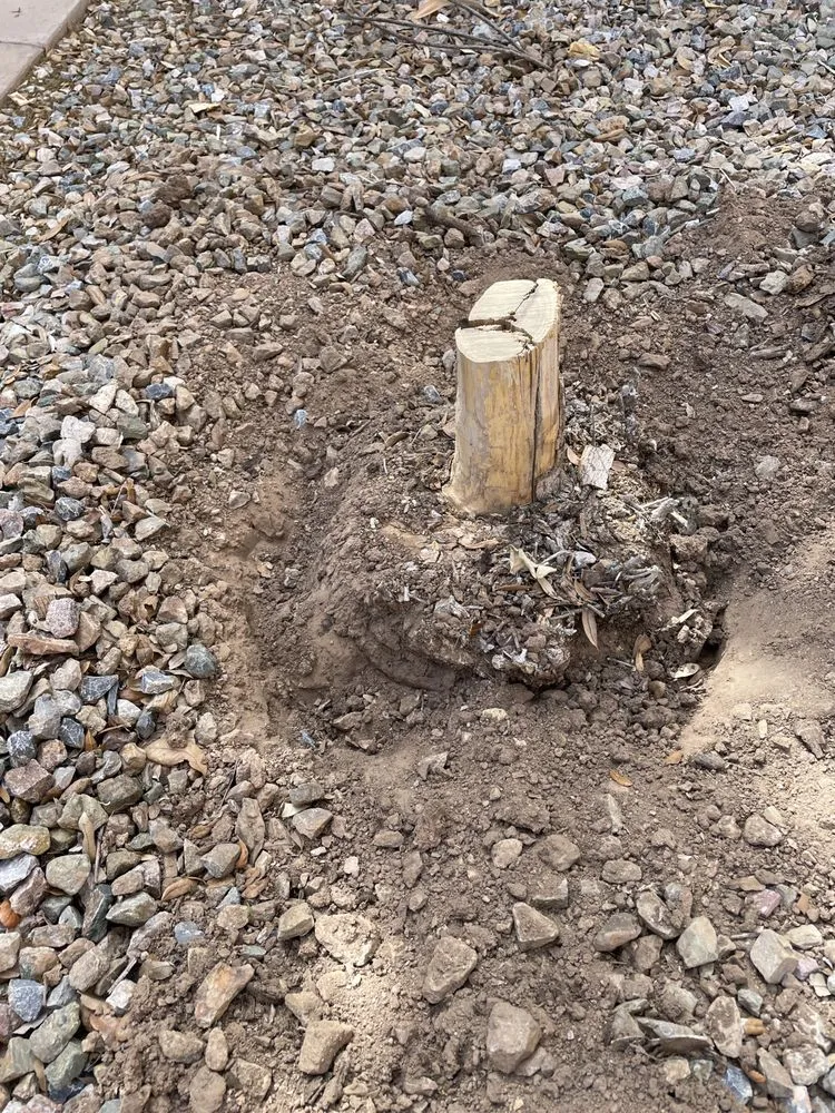 Expert residential landscaping in Gilbert, AZ - JC’s Tree Removal & Stump Grinding