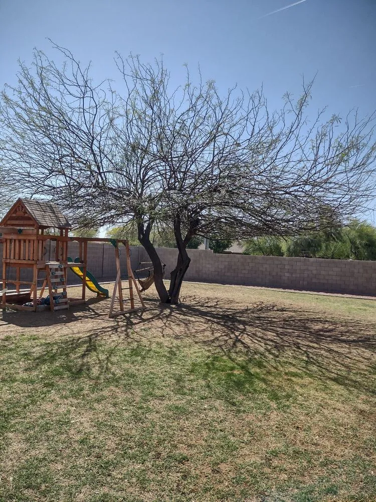 Local landscape design for residential properties across Gilbert, AZ - JC’s Tree Removal & Stump Grinding