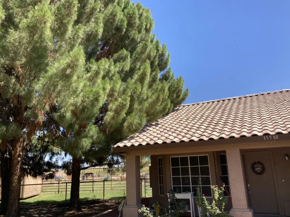 Top-rated residential landscaping for homes in Gilbert, AZ by JC’s Tree Removal & Stump Grinding