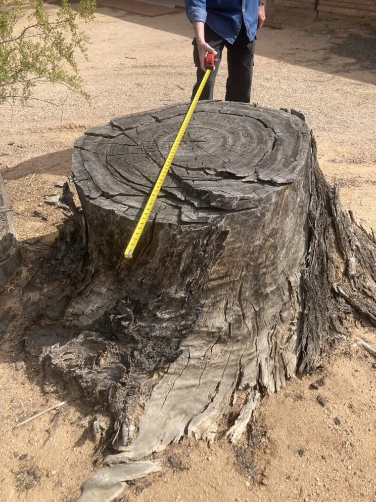 Custom lawn mowing service for year-round maintenance across Gilbert, AZ - JC’s Tree Removal & Stump Grinding