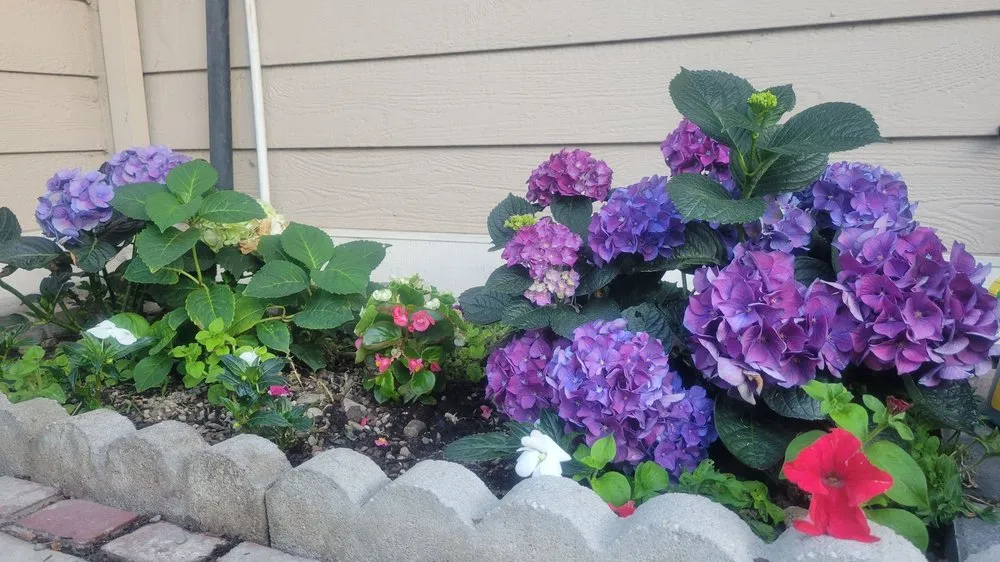 Trusted garden landscaping experts serving San Jose, CA - JCSP Gardening Services