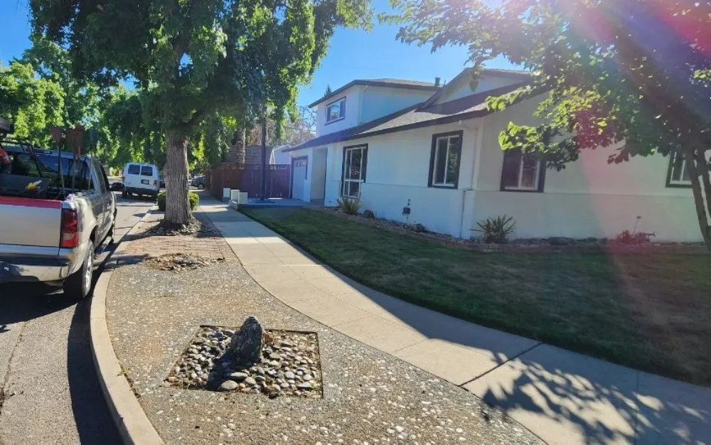 Affordable yard cleanup service in San Jose, CA by JCSP Gardening Services