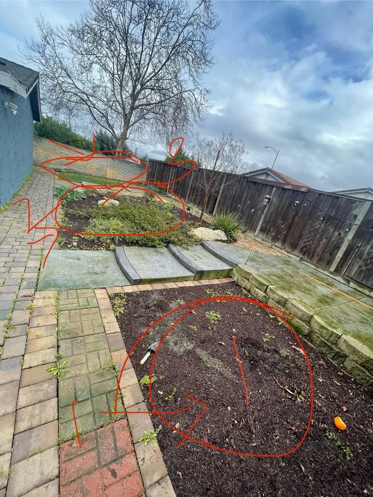 Affordable landscape installation in San Jose, CA - JCSP Gardening Services