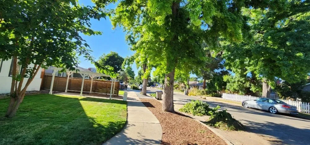 Professional garden landscaping experts serving San Jose, CA - JCSP Gardening Services