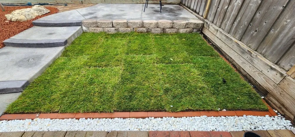 Reliable landscape installation in San Jose, CA - JCSP Gardening Services