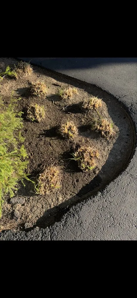 Expert lawn mowing service for outdoor upgrades across San Jose, CA - JCT Landscaping