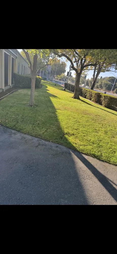 Expert landscape installation in San Jose, CA - JCT Landscaping