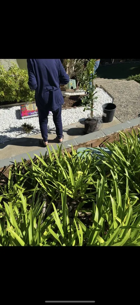 Local yard maintenance in San Jose, CA by JCT Landscaping