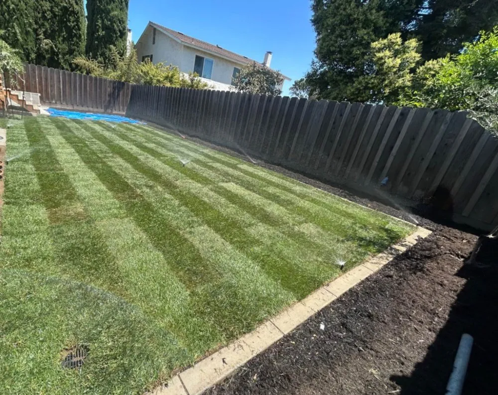 Reliable landscape installation experts serving San Jose, CA - JCT Landscaping