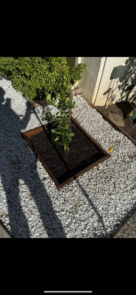 Top-rated landscape installation near you in San Jose, CA by JCT Landscaping