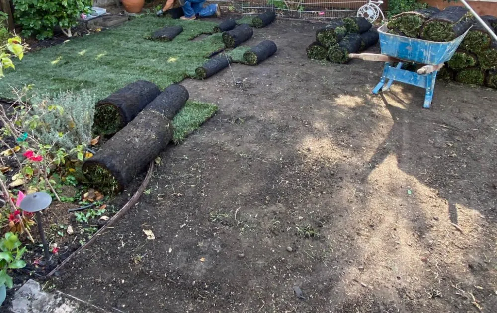 Expert lawn mowing service in San Jose, CA by JCT Landscaping