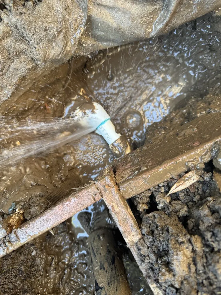 Reliable landscape installation in San Jose, CA - JCT Landscaping