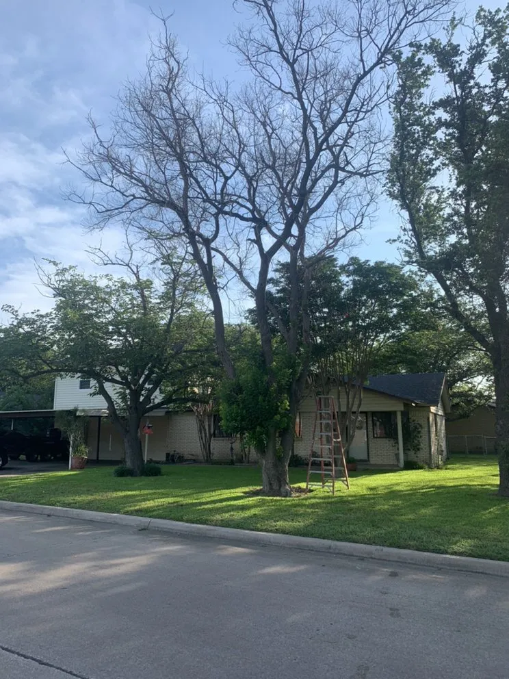 Local landscape installation in Alvarado, TX - JCT Lawn Care Pros