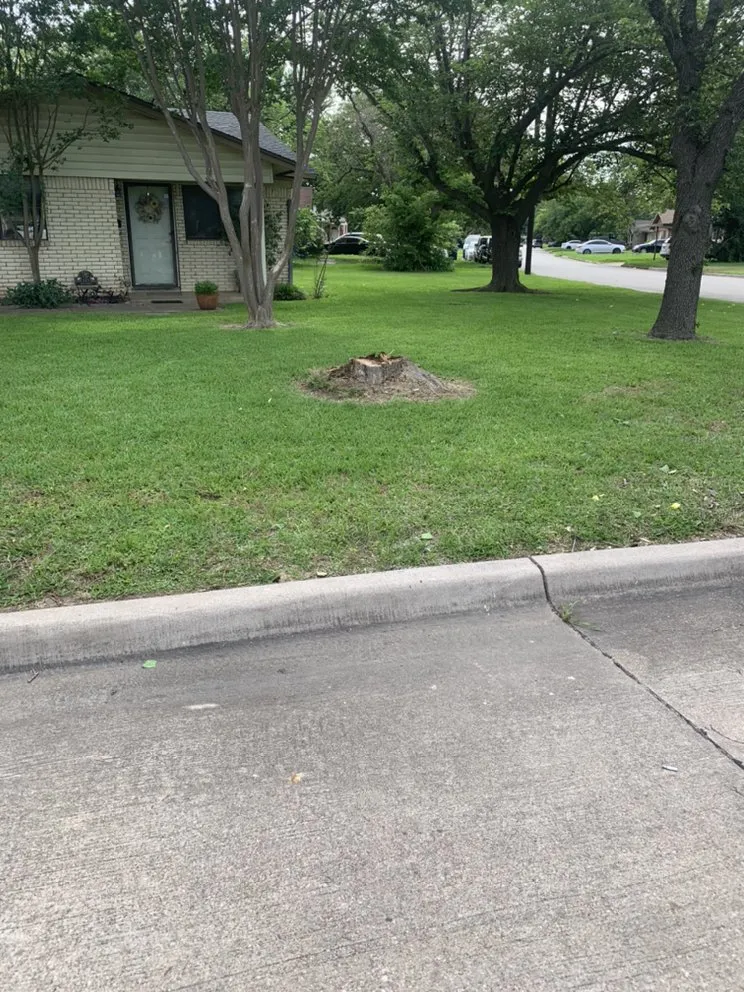 Professional landscape design in Alvarado, TX by JCT Lawn Care Pros