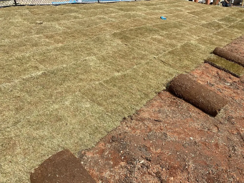 Trusted lawn care service in Dawsonville, GA - JCT Lawn Care Services