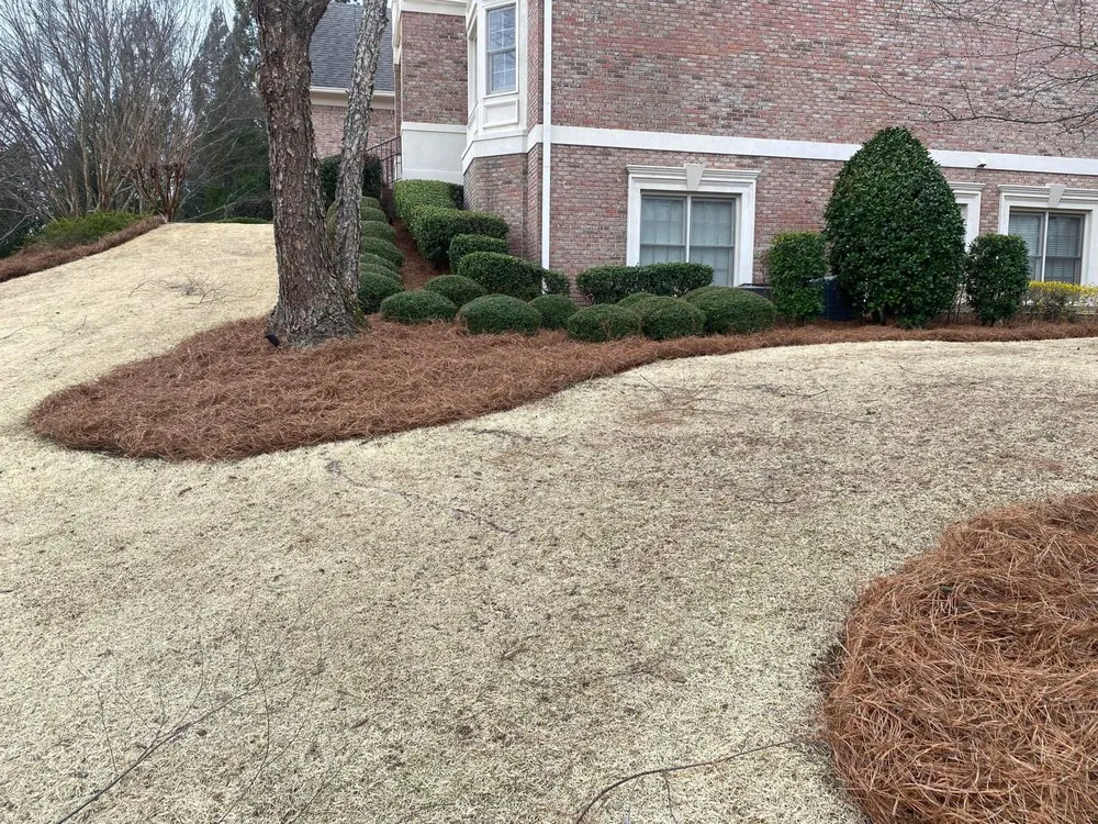 Trusted yard maintenance in Dawsonville, GA - JCT Lawn Care Services