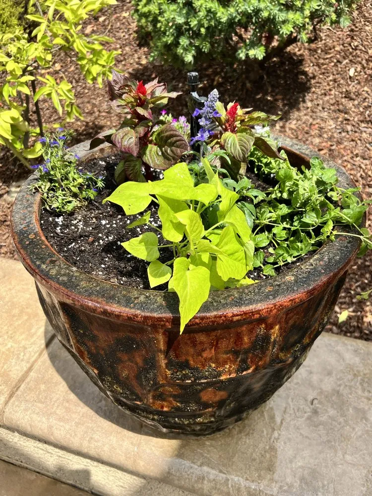 Custom outdoor landscaping in Sacramento, CA - JCVV Landscaping