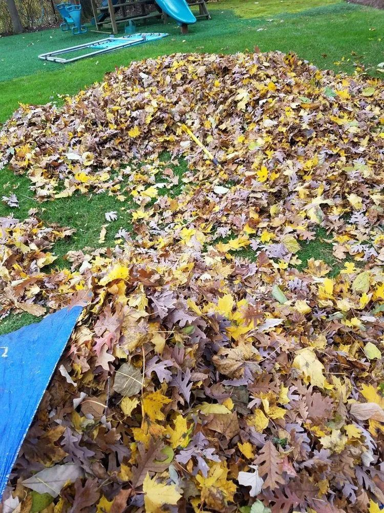 Top-rated yard maintenance with custom design in Waukegan, IL by JD & C Big Services