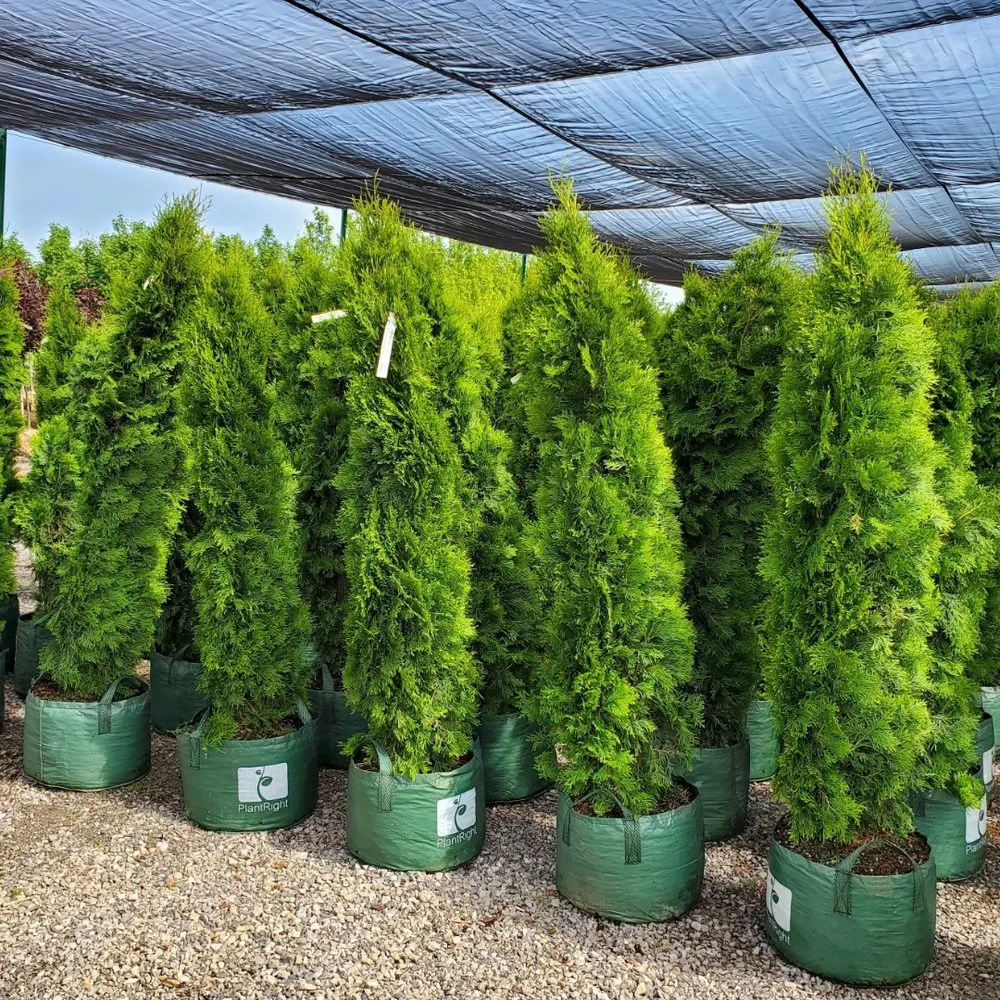 Trusted landscape installation near you in Waukegan, IL by JD & C Big Services