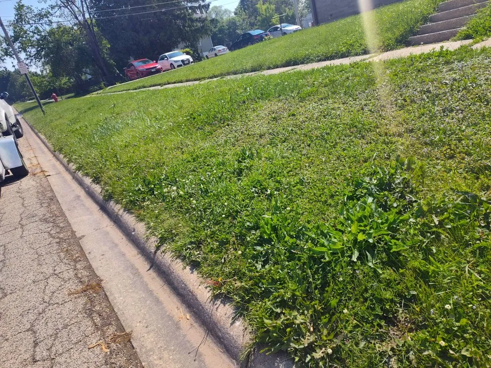 Local garden landscaping experts serving Waukegan, IL - JD & C Big Services