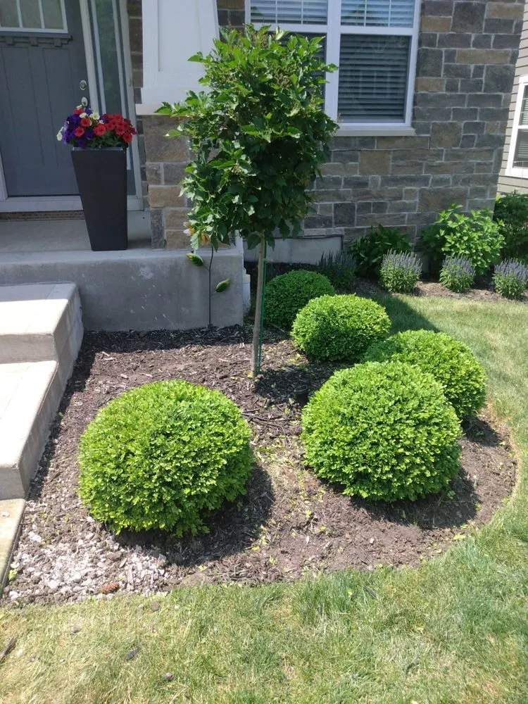 Expert outdoor landscaping in Waukegan, IL - JD & C Big Services