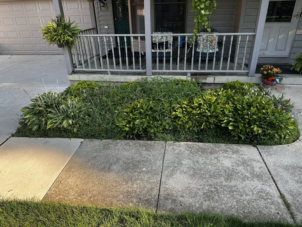 Expert landscaping services near you in Waukegan, IL by JD & C Big Services