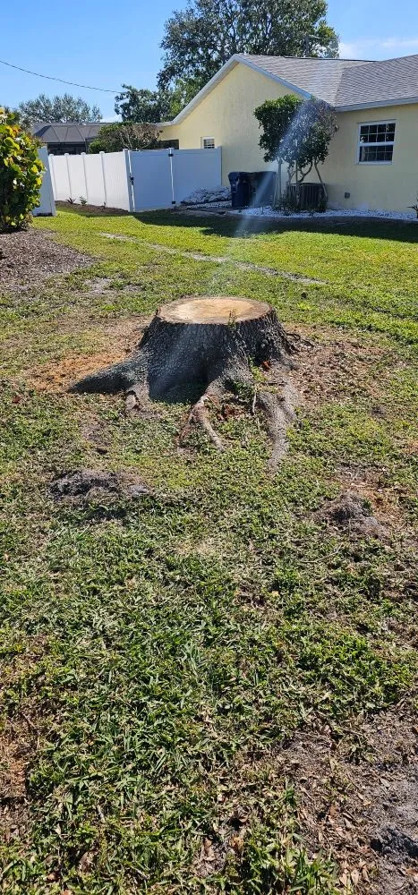 Affordable lawn care service experts serving Venice, FL - JD & Sons