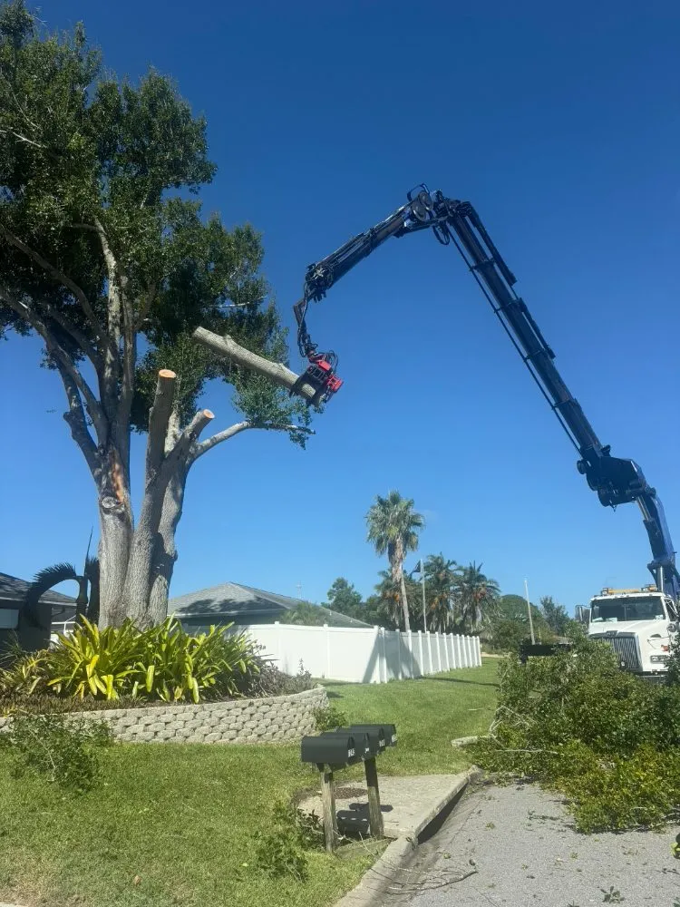 Expert lawn mowing service in Venice, FL - JD & Sons