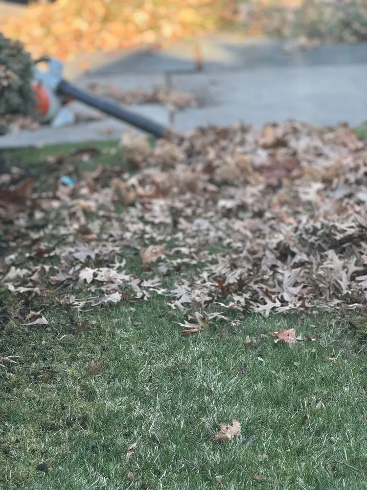 Top-rated landscape installation in Scranton, PA - JD A-Z services