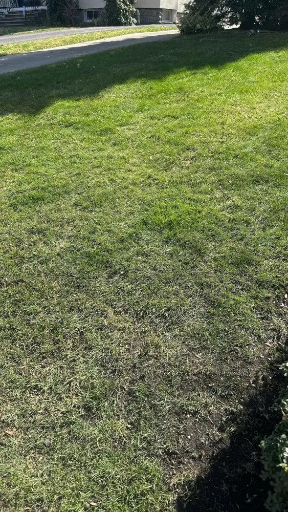 Local yard maintenance experts serving Scranton, PA - JD A-Z services