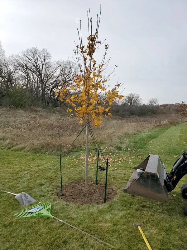 Local yard maintenance for year-round maintenance across Caldwell, ID - JD