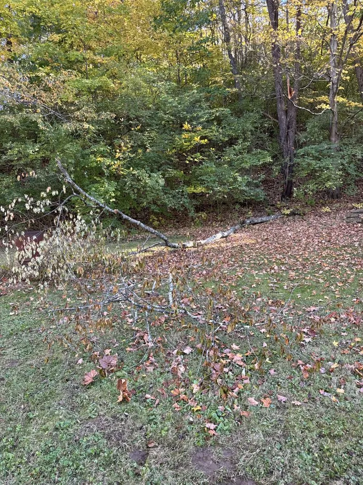 Affordable residential landscaping for outdoor upgrades across Williamsburg, OH - Jd construction