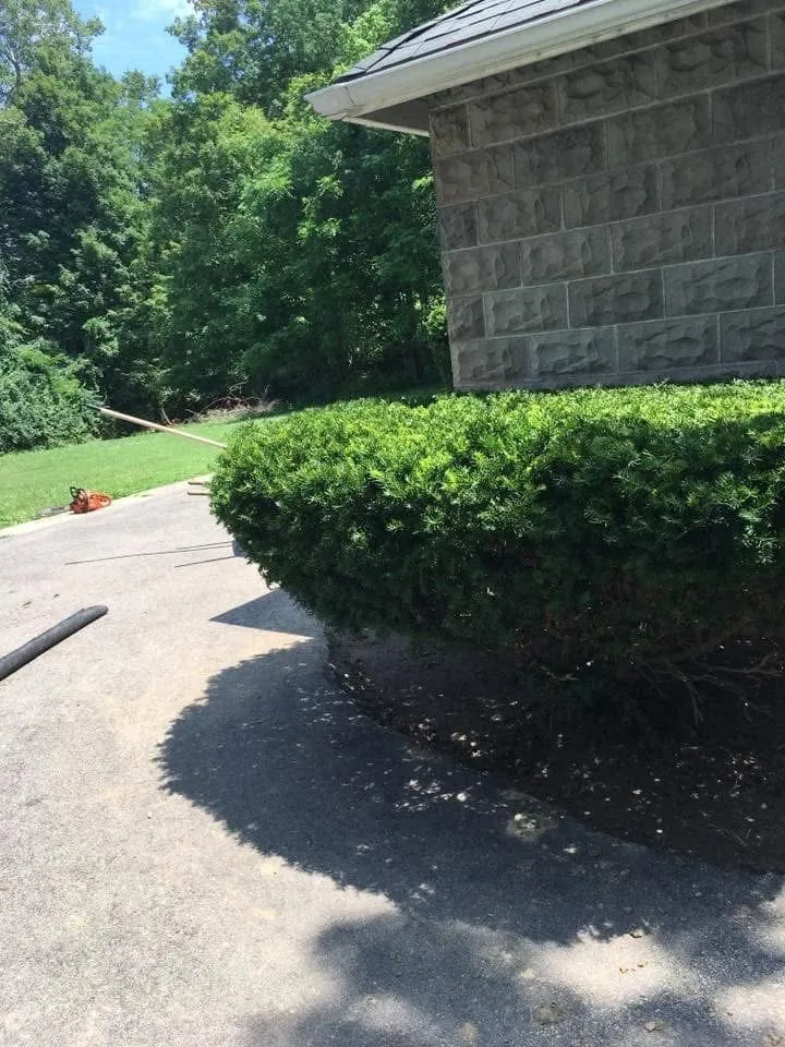 Top-rated lawn mowing service for residential properties in Williamsburg, OH by Jd construction