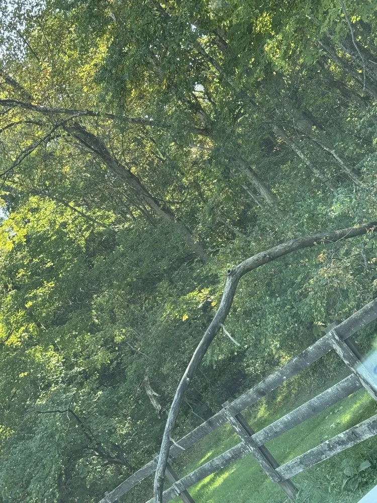 Reliable yard cleanup service experts serving Williamsburg, OH - Jd construction