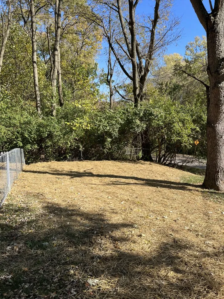 Custom landscape installation for beautiful yards in Williamsburg, OH by Jd construction