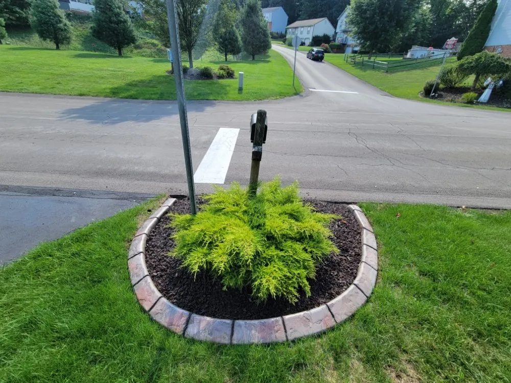 Local lawn mowing service in New Wilmington, PA by JD Curb