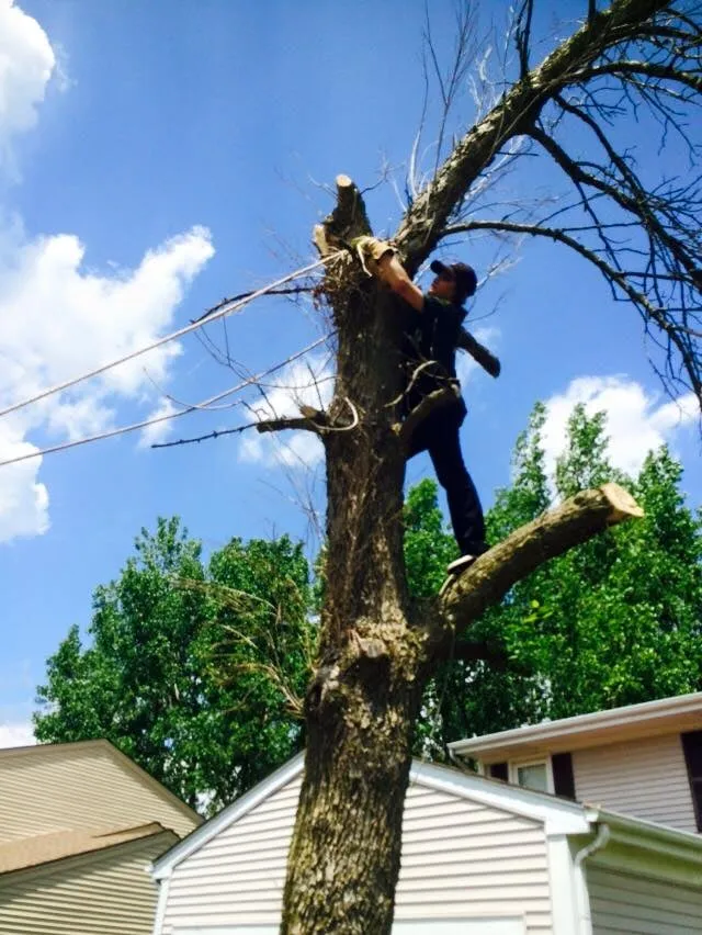 Trusted lawn mowing service in Palatine, IL - J.D. Enterprises