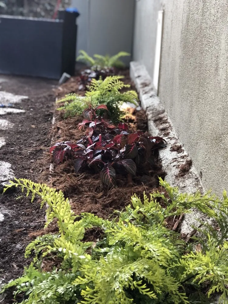 Affordable garden landscaping for year-round maintenance across Los Angeles, CA - JD gardening & tree service