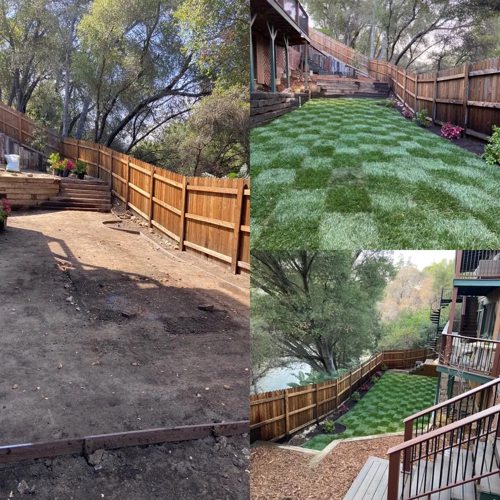 Professional residential landscaping in Los Angeles, CA - JD gardening & tree service